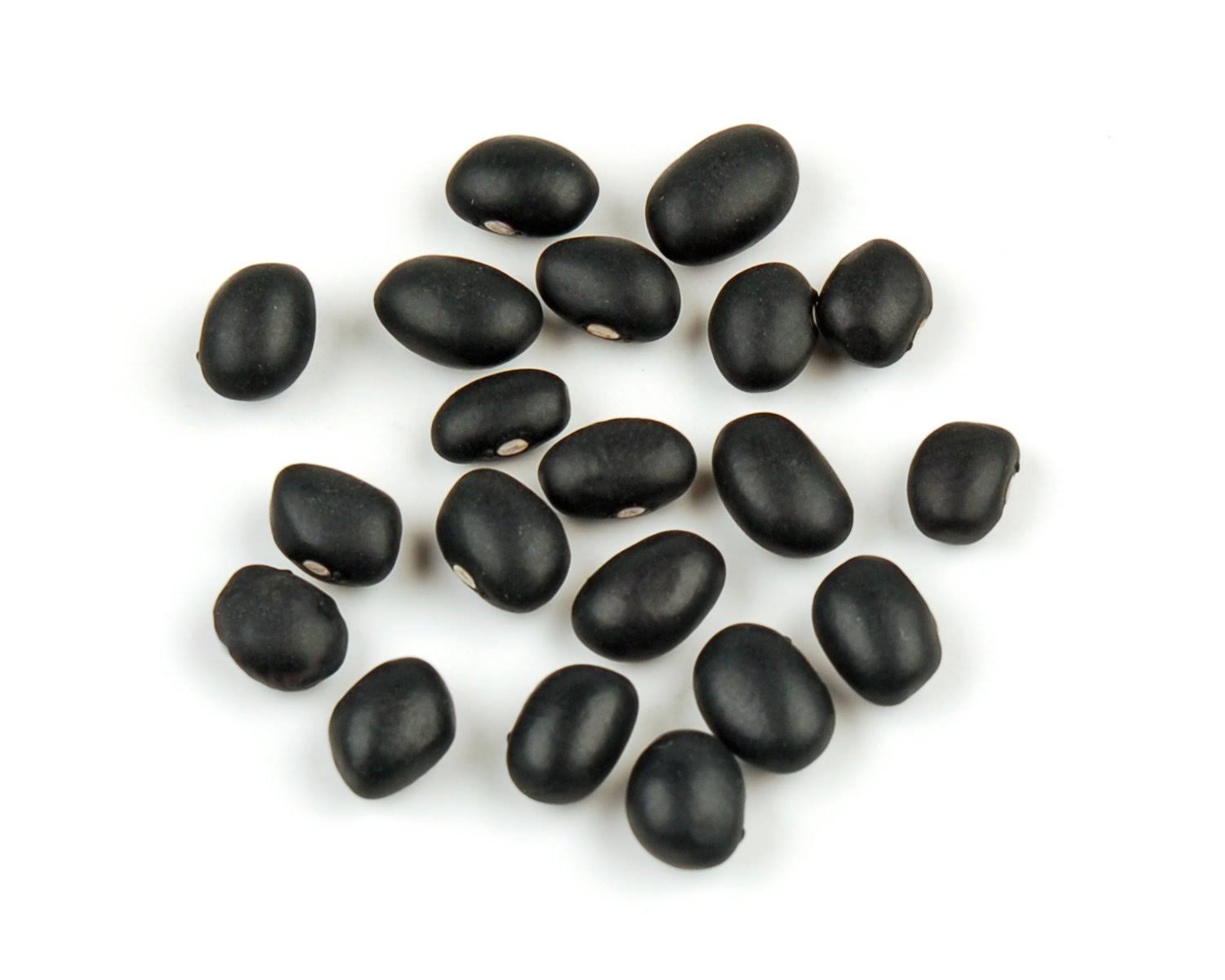 Black Turtle Beans - 25 lb total