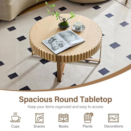 31.5'' Round Coffee Table, Modern Coffee Table Circle Solid Wood Coffee Table with Stainless Steel Gold Legs, Romanesque Small Center Table for Living Room Office Apartment (Walnut)