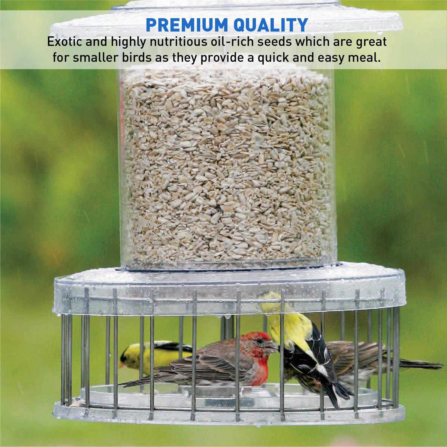 EASYGO PRODUCTS Sunflower Kernels Sun Flower Chips Wild Bird Food 50 lb - Pet Supplies online store