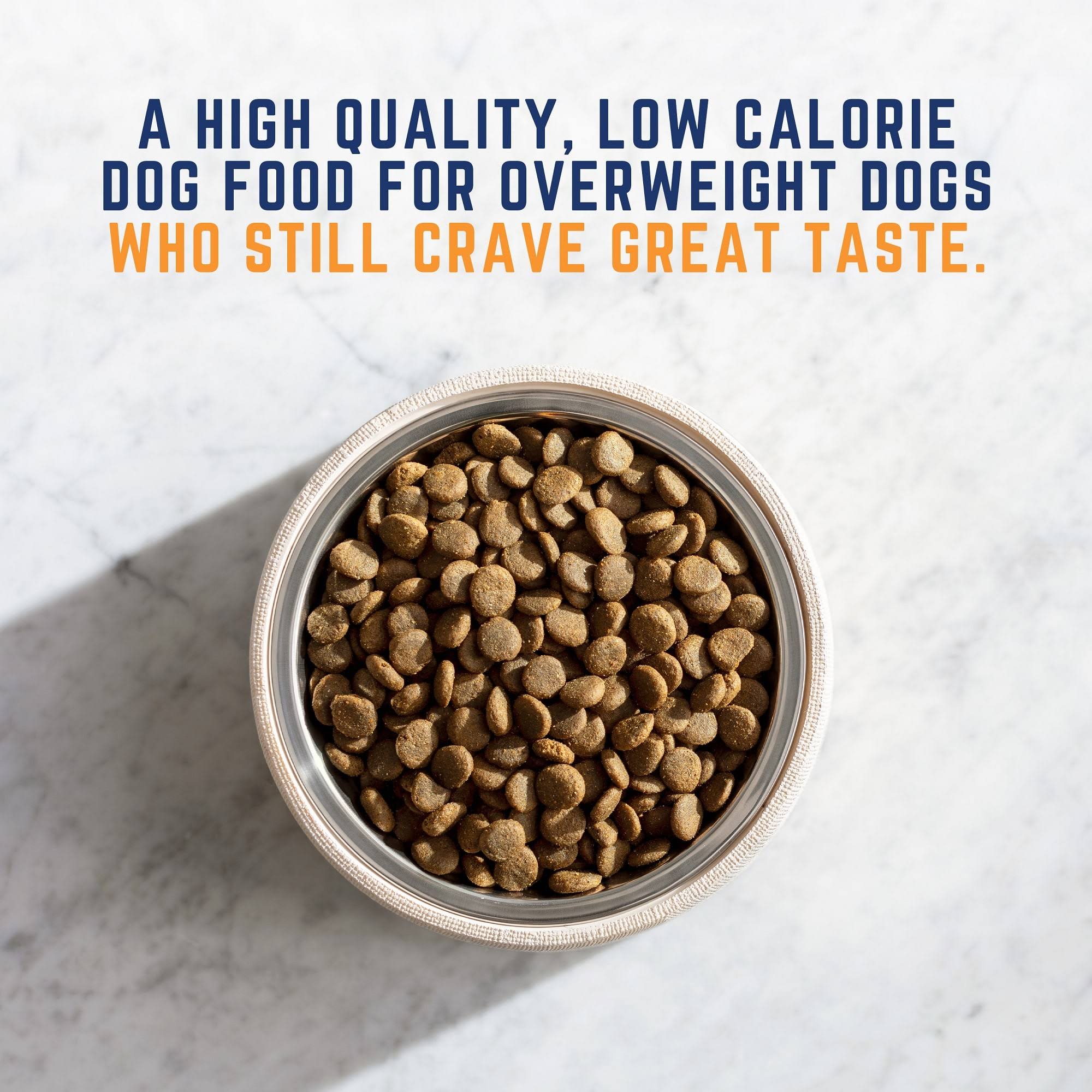 Natural Balance Fat Dogs Dog Food, Chicken Meal, Salmon Meal u0026 Barley Formula - 28 lb
