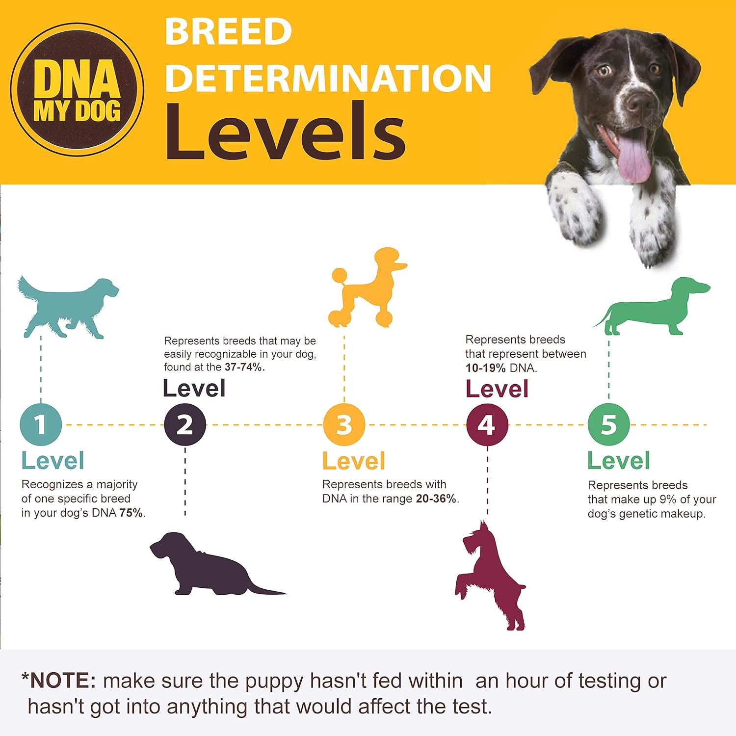 Dna My Dog Canine Breed Identification Test