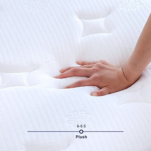 Sunrising Bedding 8” Natural Latex Full Mattress, Individually Encased Pocket Coil, Firm, Supportive, Naturally Cooling, Organic Mattress, 120-Night Free Trial, 20-Year Warranty