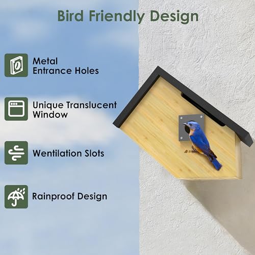Smart Bird Houses for Outside Solar Powered, 1080P HD Live View Birdhouse with Camera, Perfect Viewing Bird Nesting and Hatching, Ideal Outdoors Bird House for Blue Bird and Cardinal (Black)