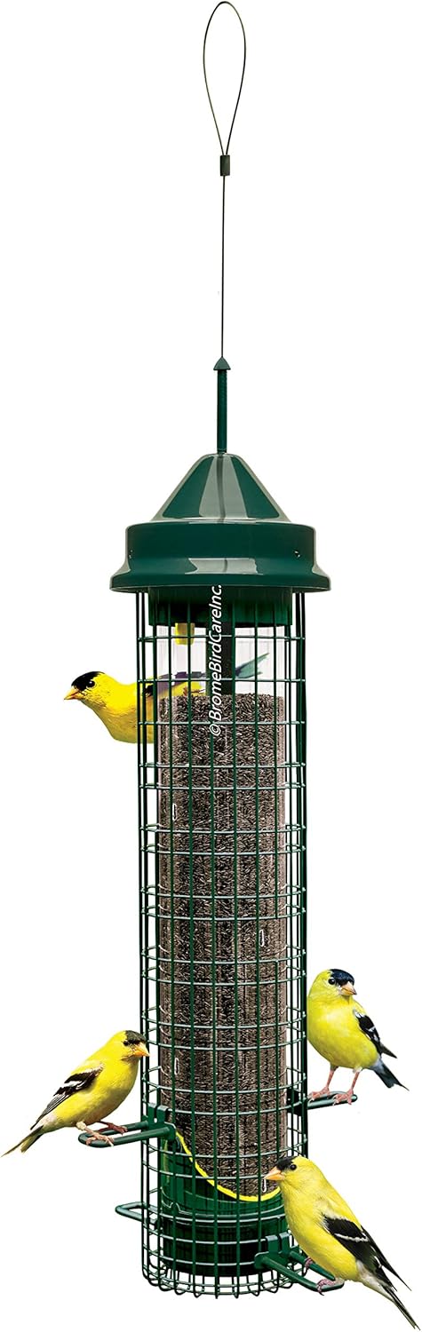 Squirrel Buster Finch Squirrel-proof Bird Feeder w/4 Metal Perches & 8 Feeding Ports, 2.4-pound Thistle/Nyjer Seed Capacity Pack of 2