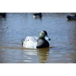 Higdon Xs Battleship Swimmer 12 Volt Motion Bluebill Duck Decoy