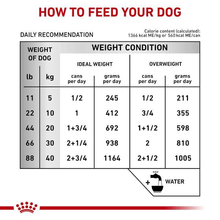 Royal Canin Veterinary Diet Hepatic Canned Dog Food - Pet Supplies online store