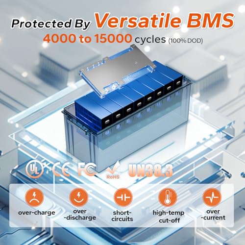 LiTime 12V 100Ah LiFePO4 Battery BCI Group 31 Lithium Battery Built-in 100A BMS, Up to 15000 Deep Cycles, Perfect for RV, Marine, Home Energy Storage