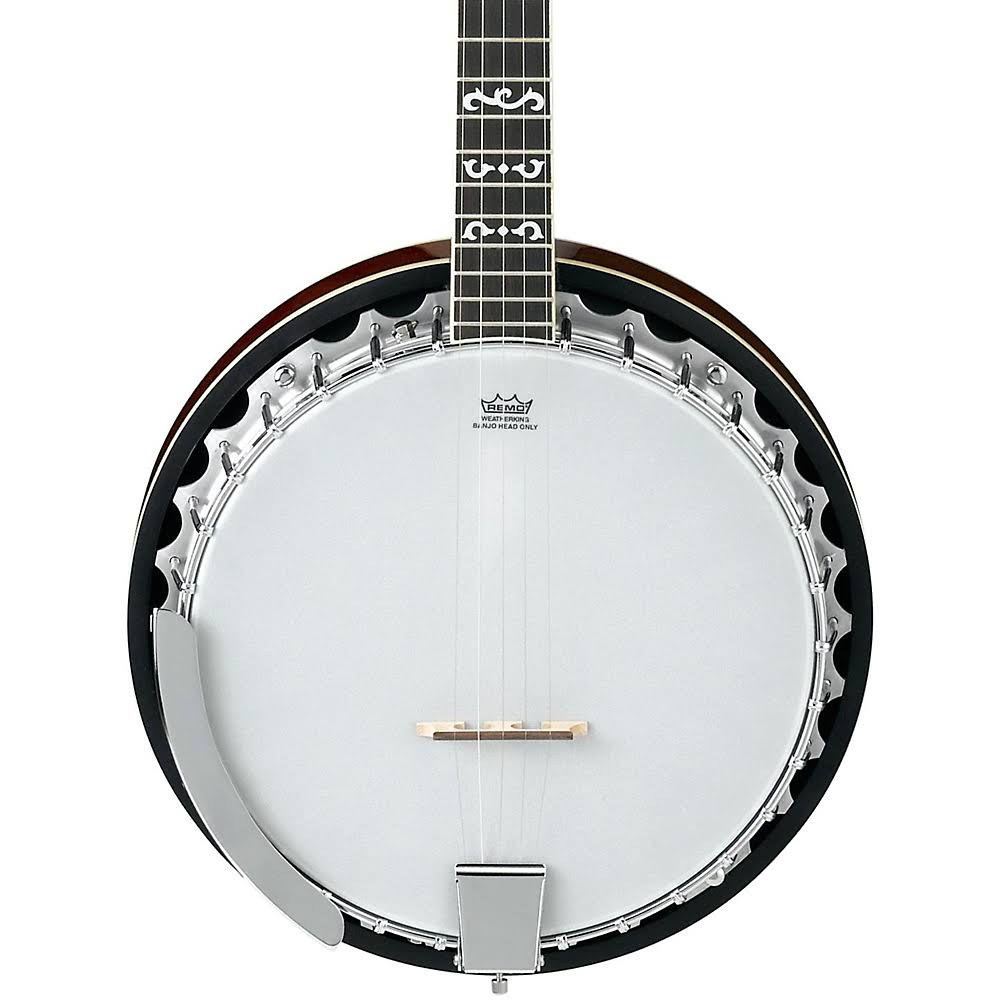 Ibanez B100 5-String Banjo