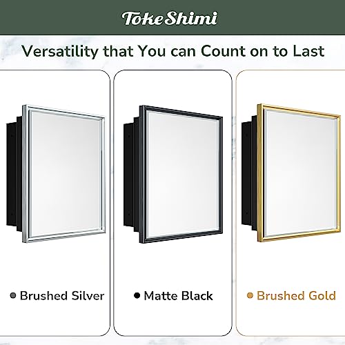 TokeShimi Recessed Medicine Cabinet with Mirror Wall Mounted, Metal Beveled Mirror with Storage for Bathroom Vanity, Aluminum Alloy Medicine Cabinet Mirror Silver 16x24 1 Door
