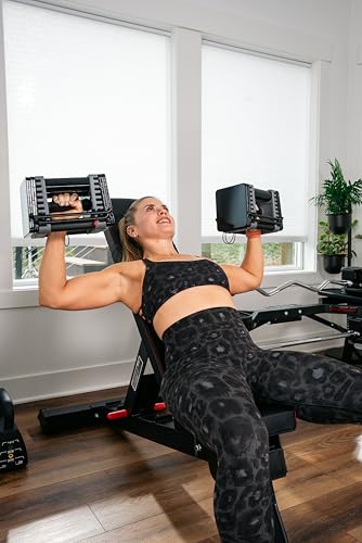 PowerBench 2.0 Adjustable Weight Bench, 7 Positions, Built-in Wheels & Handle, Innovative Equipment for Home & Commercial Gyms, Versatile Workout Bench