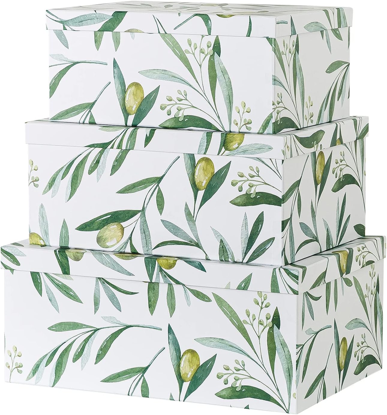 Soul & Lane Decorative Storage Cardboard Boxes with Lids | Autumn Wonders - Set of 3 | Botanical Paperboard Nesting Boxes Pack of 2