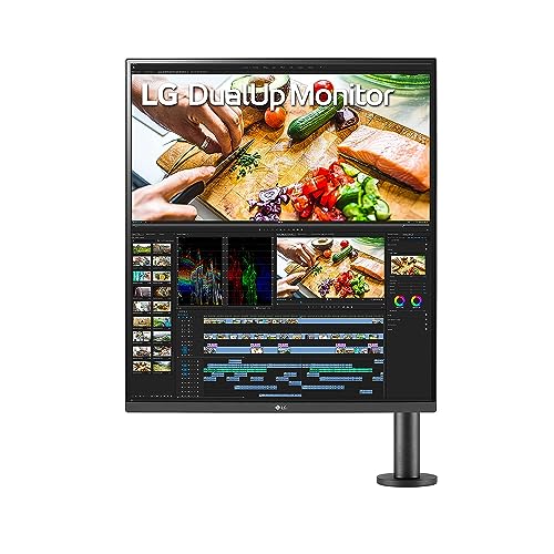 LG DualUp Monitor
