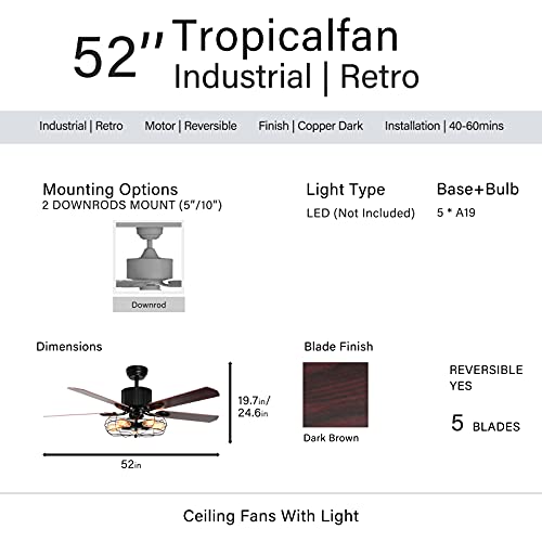 Farmhouse Caged Ceiling Fan with Lights Remote Control, 52" Industrial Black Chandelier Fan Pull Chain, Rustic Vintage Ceiling Fan Light with 5 Reversible Blades for Bedroom, Living Room