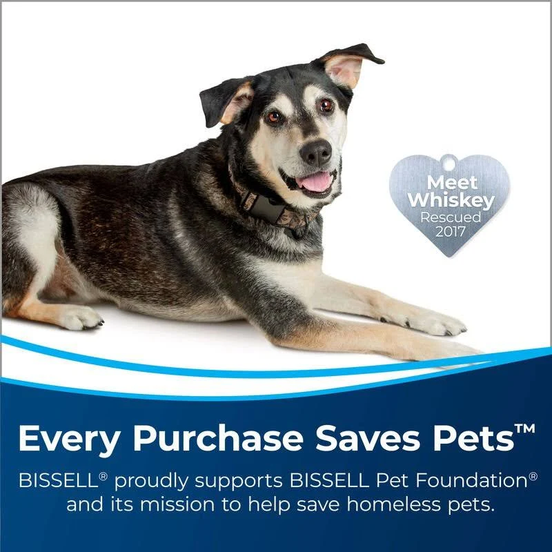 Bissell Powerforce Powerbrush Pet Lightweight Carpet Washer - 2910
