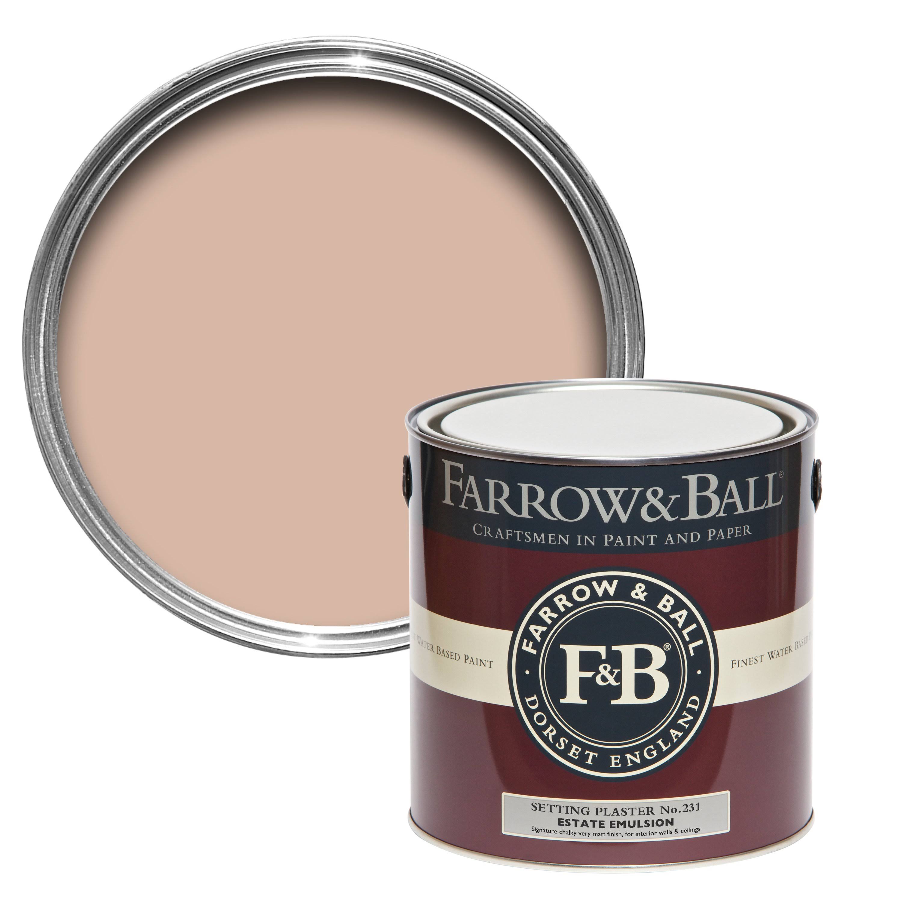 Farrow u0026 Ball Setting Plaster Paint 750ml Dead Flat No.231