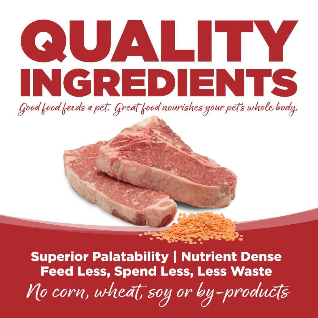 PureVita Beef &amp; Red Lentils Grain Free Dry Dog Food - Pet Supplies online store