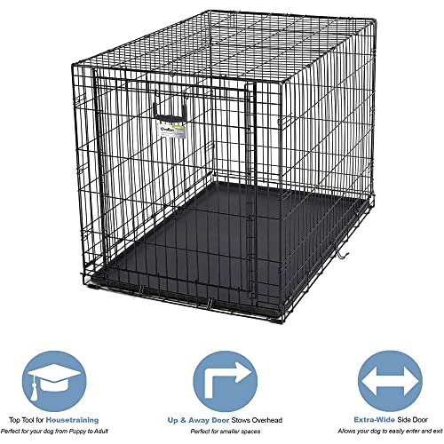 MidWest Homes for Pets Ovation Single Door Dog Crate, 42-Inch