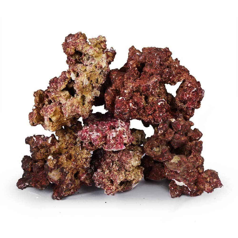 Real Reef Premium Live Rock for Saltwater Aquariums