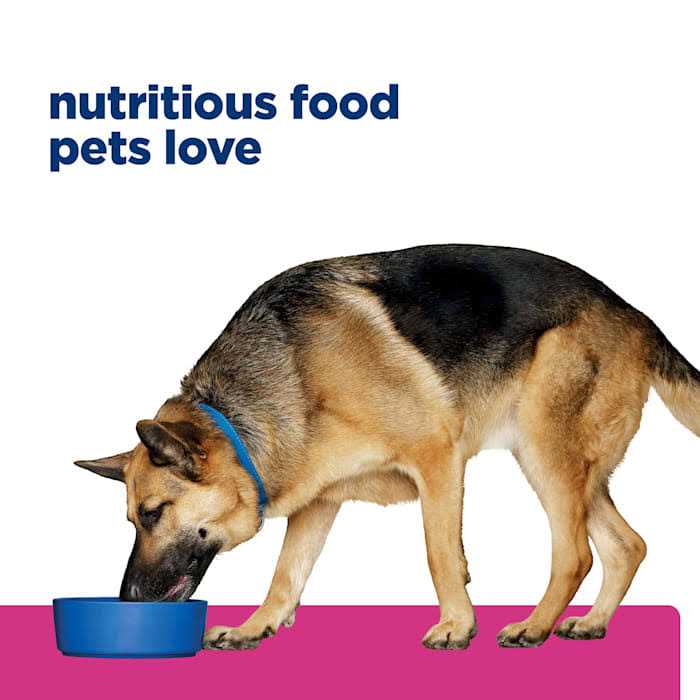 Hill&amp;s Prescription Diet Gastrointestinal Biome Digestive Fiber Care Chicken Dry Dog Food - Pet Supplies online store