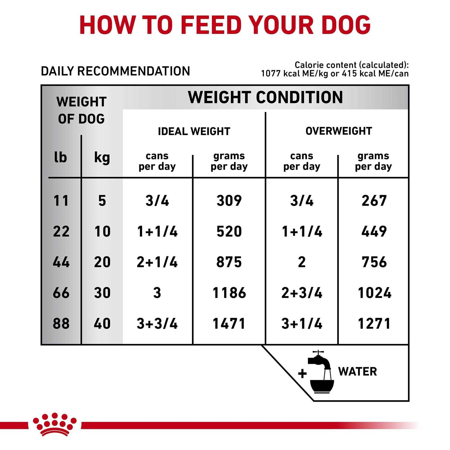Royal Canin Veterinary Diet Gastrointestinal Loaf Canned Dog Food - Pet Supplies online store