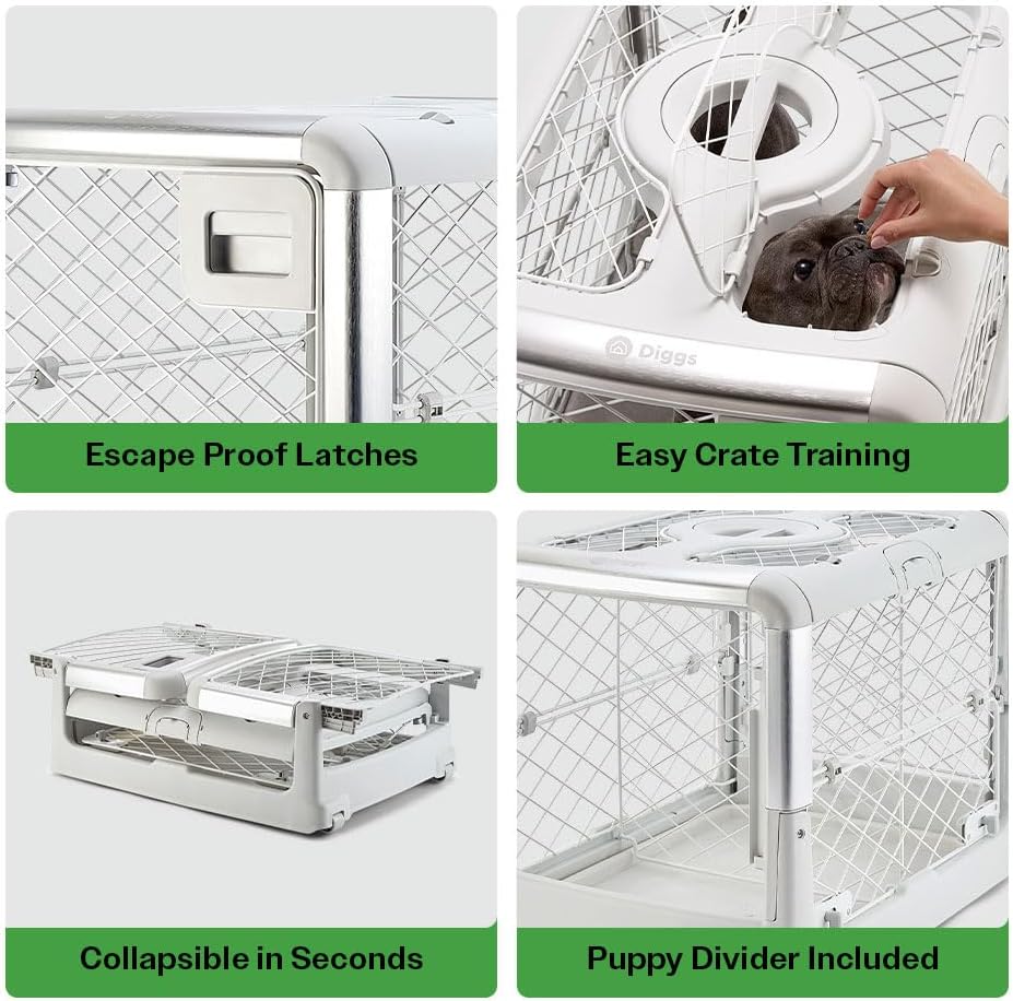 Diggs Revol Dog Crate (Collapsible Dog Crate, Portable Dog Crate, Travel Dog Crate, Dog Kennel) for Small Dogs and Puppies (Ash)