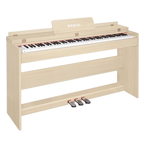 88 Key Fully Weighted Digital Piano Keyboard, 88 Keys Hammer Action Electric Pianos, Wooden Classic Upright Electronic Piano for Beginner, Professional, Midi Compatible, Triple Pedal (Black)