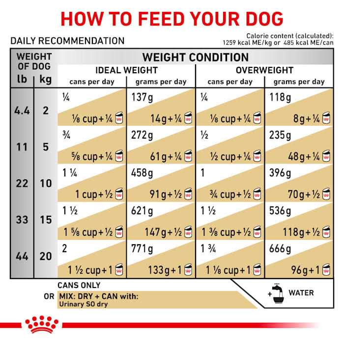 Royal Canin Veterinary Diet Royal Canin Urinary So Dog Food - Pet Supplies online store