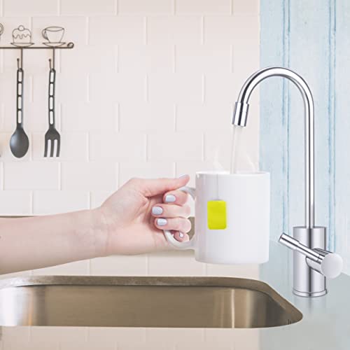 Ready Hot RH-F570-CH Single Lever Faucet for Hot Water Only, Chrome Finish
