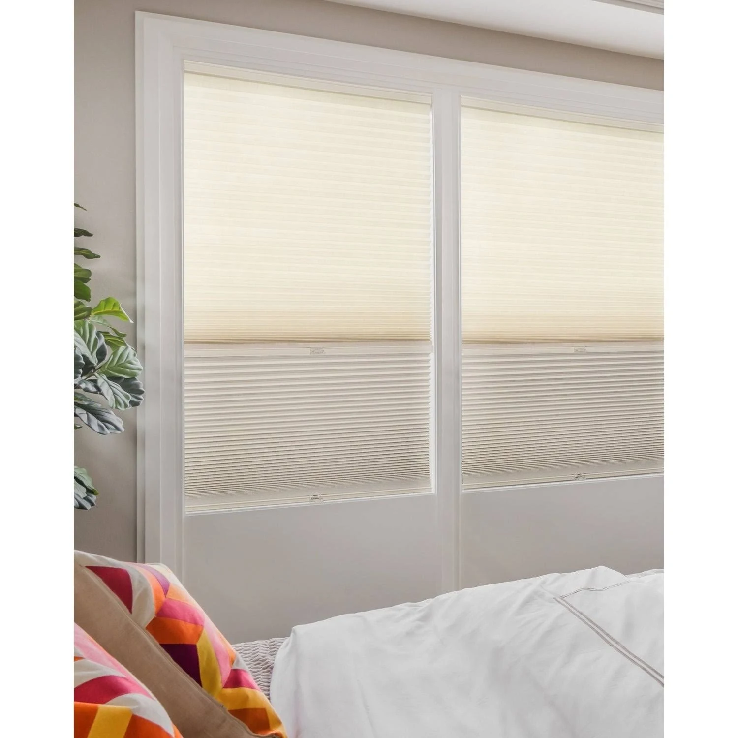 Chicology Day N& Night Cordless Cellular Shades, Fawn - 38x22 x 72x22