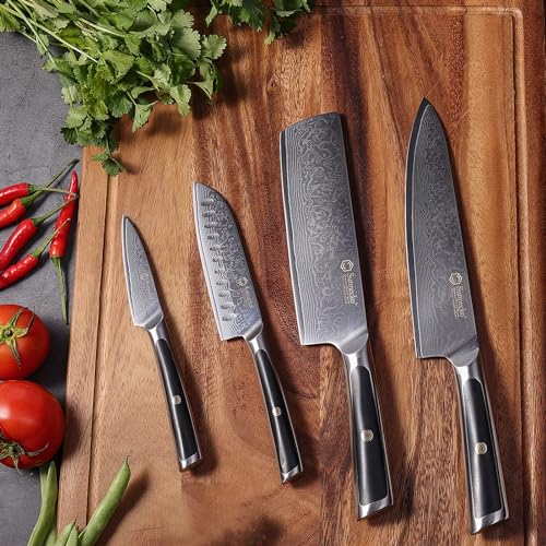 Sunnecko Knife Set with Block, Damascus Chef Knife Set Professional Kitchen Knife Block Set 6-piece Japanese VG10 Stainless Steel Dishwasher Safe