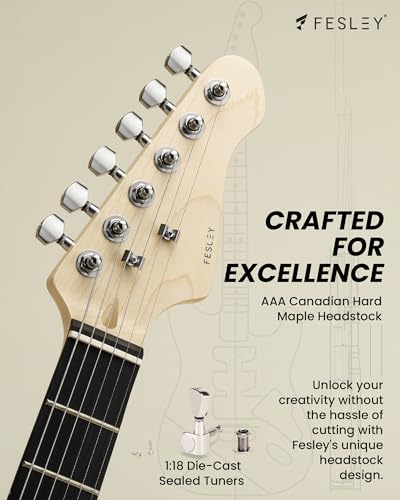 Fesley DIY LP Style Electric Guitar with Mahogany Wood Body/Neck, 6 String, Techwood Fretboard, H-H Pickups, Flamed Maple Veneer Top, Build Your Own Guitar Kit - Natural