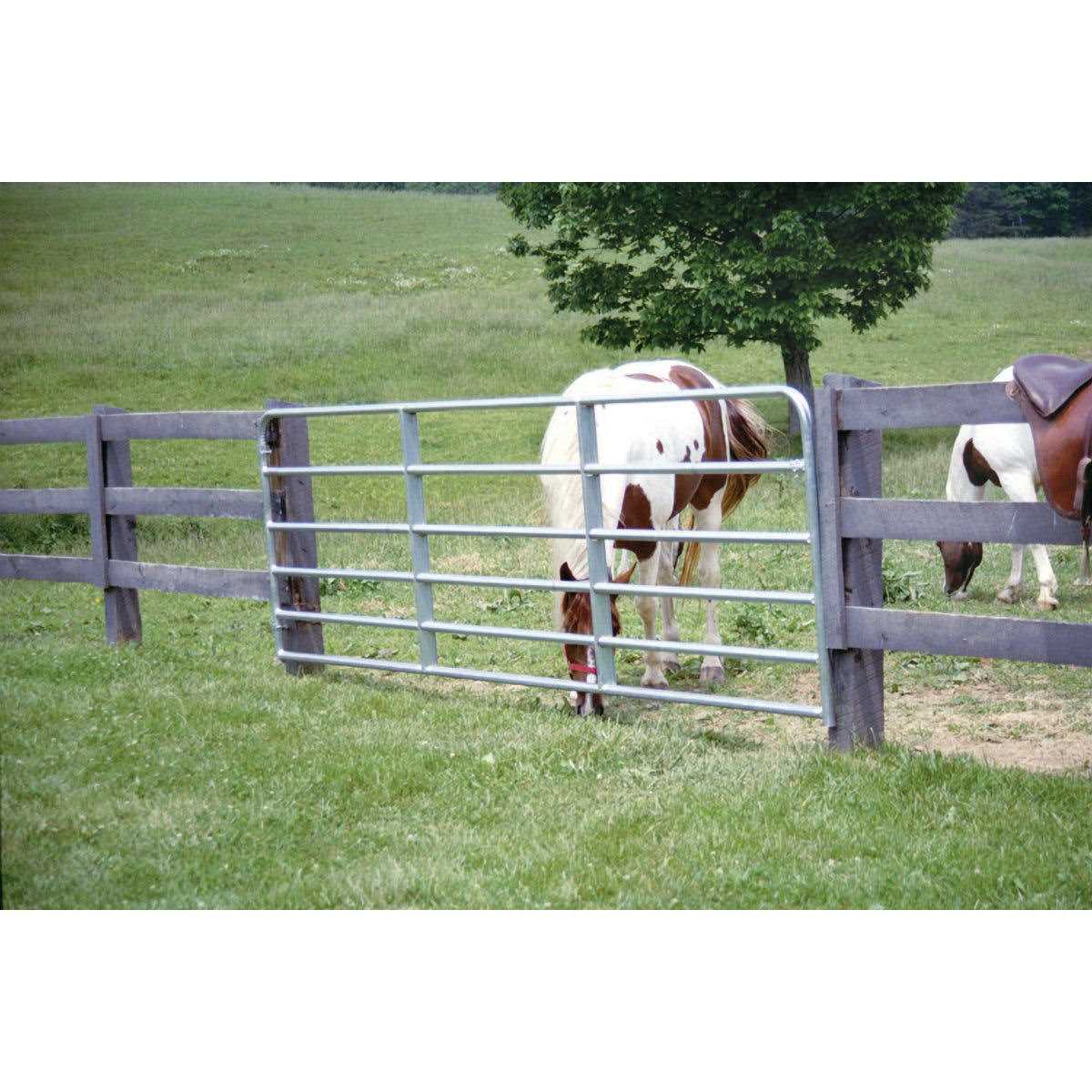 Tarter Galvanized Tube Gate - Shop Hardware Tools Online Store