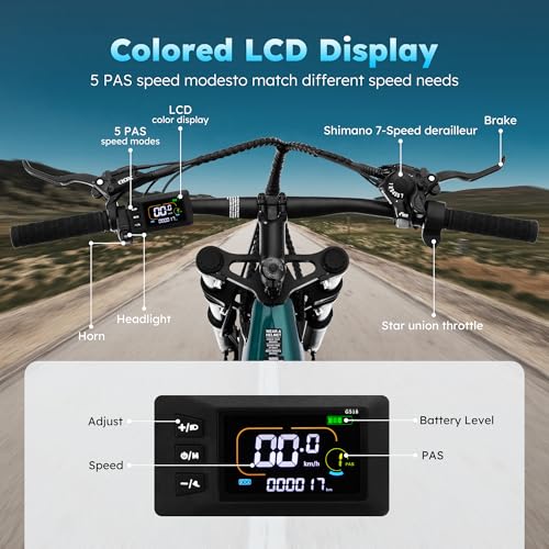 Pro Electric Bike for Adults, 26"x4" Fat Tire Mountain Ebike with Dual Hydraulic Brakes, 1000W Peak Motor, 624Wh Anti-thief Battery, Up to 65miles in PAS1, 7 Speed, UL2849 Certified