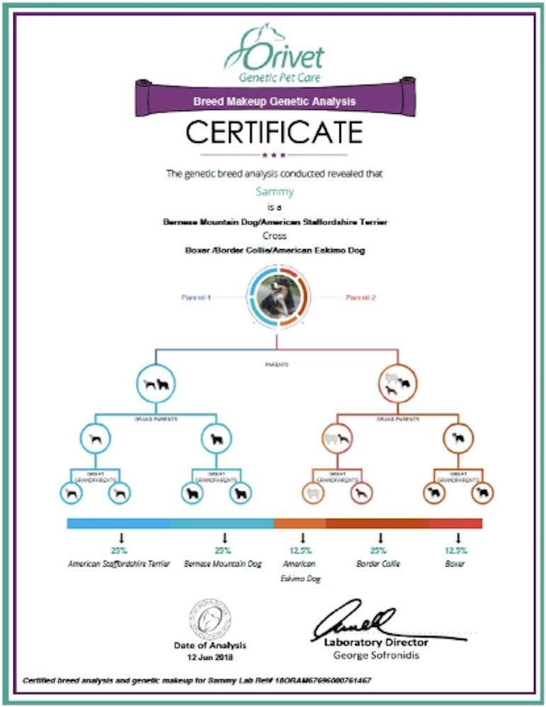 ORIVET Dog DNA Test | Comprehensive Dog Breed Test Kit, Genetic Testing, Health Risks Screen and Life Plan GenoPet 5.0 for Canines