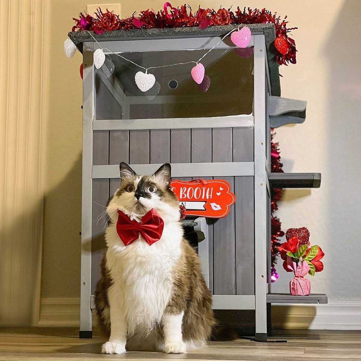 Aivituvin Two Tier Wooden Cat House with Waterproof Roof AIR14-1 - Pet Supplies online store