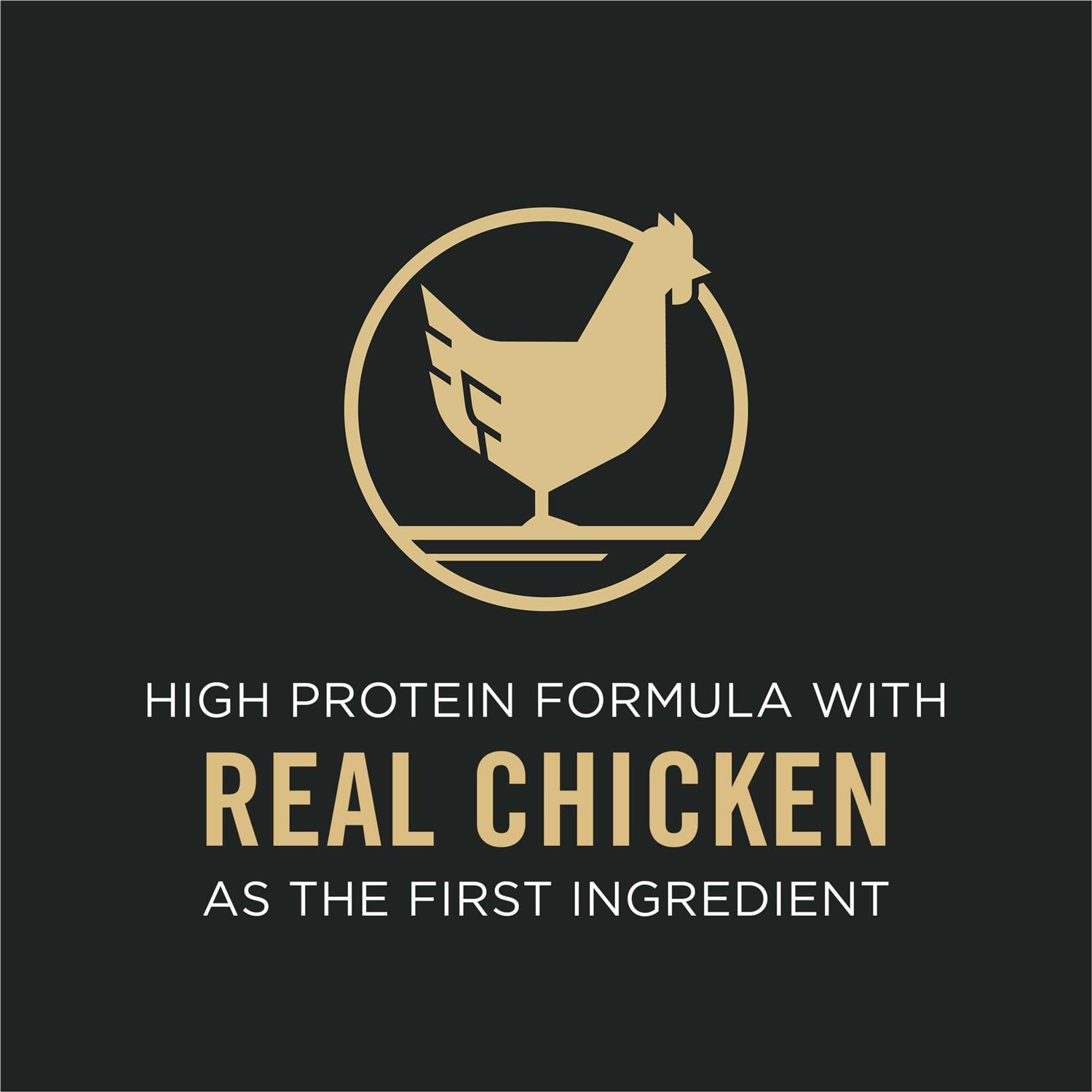 Purina Pro Plan Bright Mind Adult 7+ Chicken &amp; Rice Formula Dry Dog Food - Pet Supplies online store