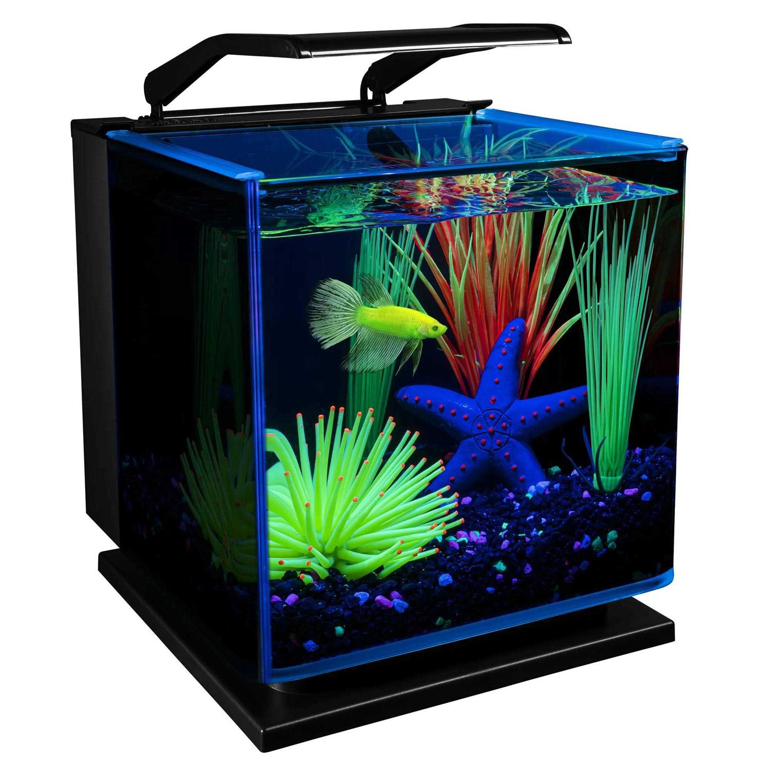 GloFish Betta Fish Aquarium Kit - Pet Supplies online store