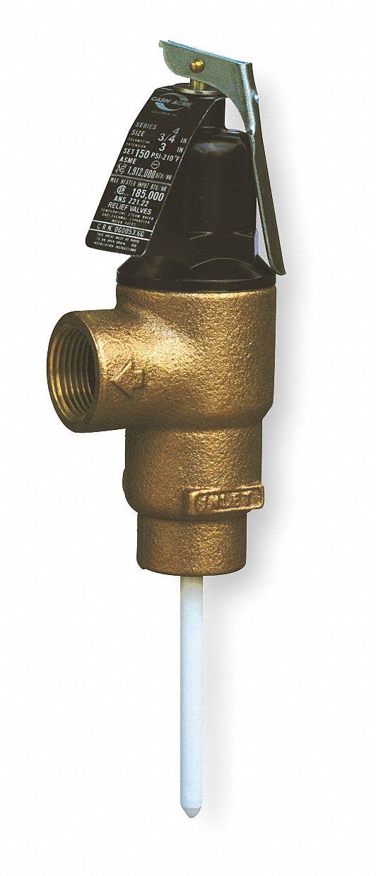 Cash Acme FVMX-3C T and P Relief Valve,mnpt x FNPT