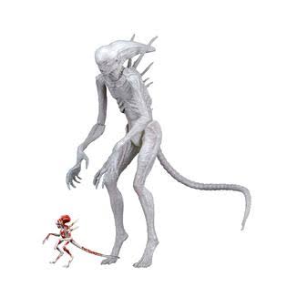 NECA Alien: Covenant - 7x22 Scale Action Figure - Neomorph