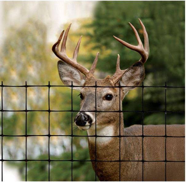 Tenax Deer Fence Select 8 ft. x 330 ft., Black, 1A100139