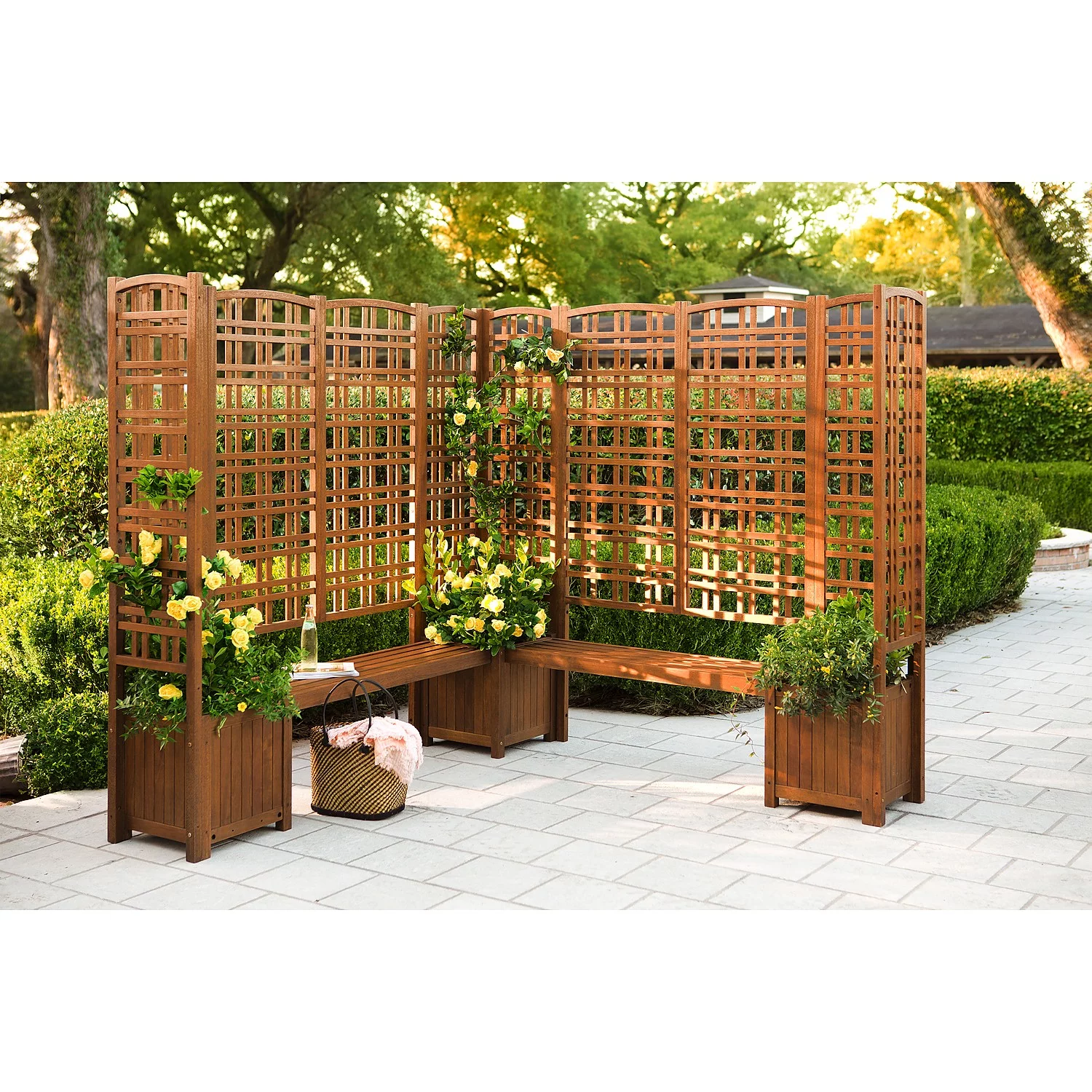 Evergreen Large Outdoor Eucalyptus Privacy Trellis