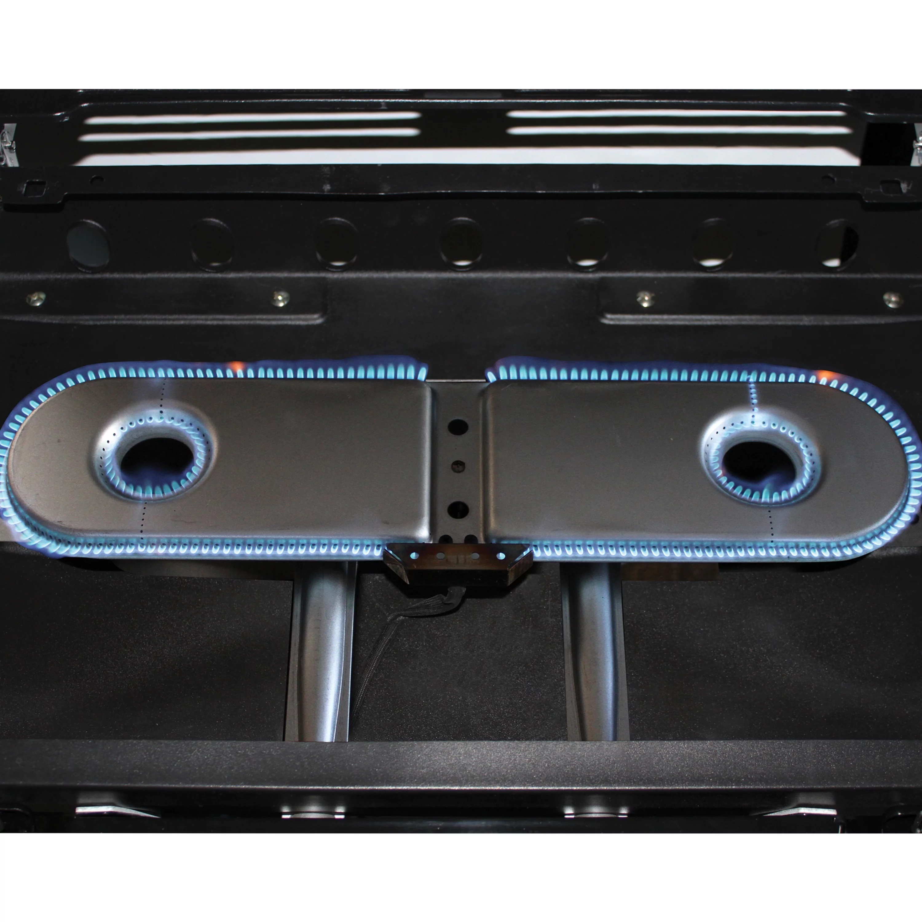 Coleman RoadTrip X-Cursion 2 Burner Propane Gas Portable Grill