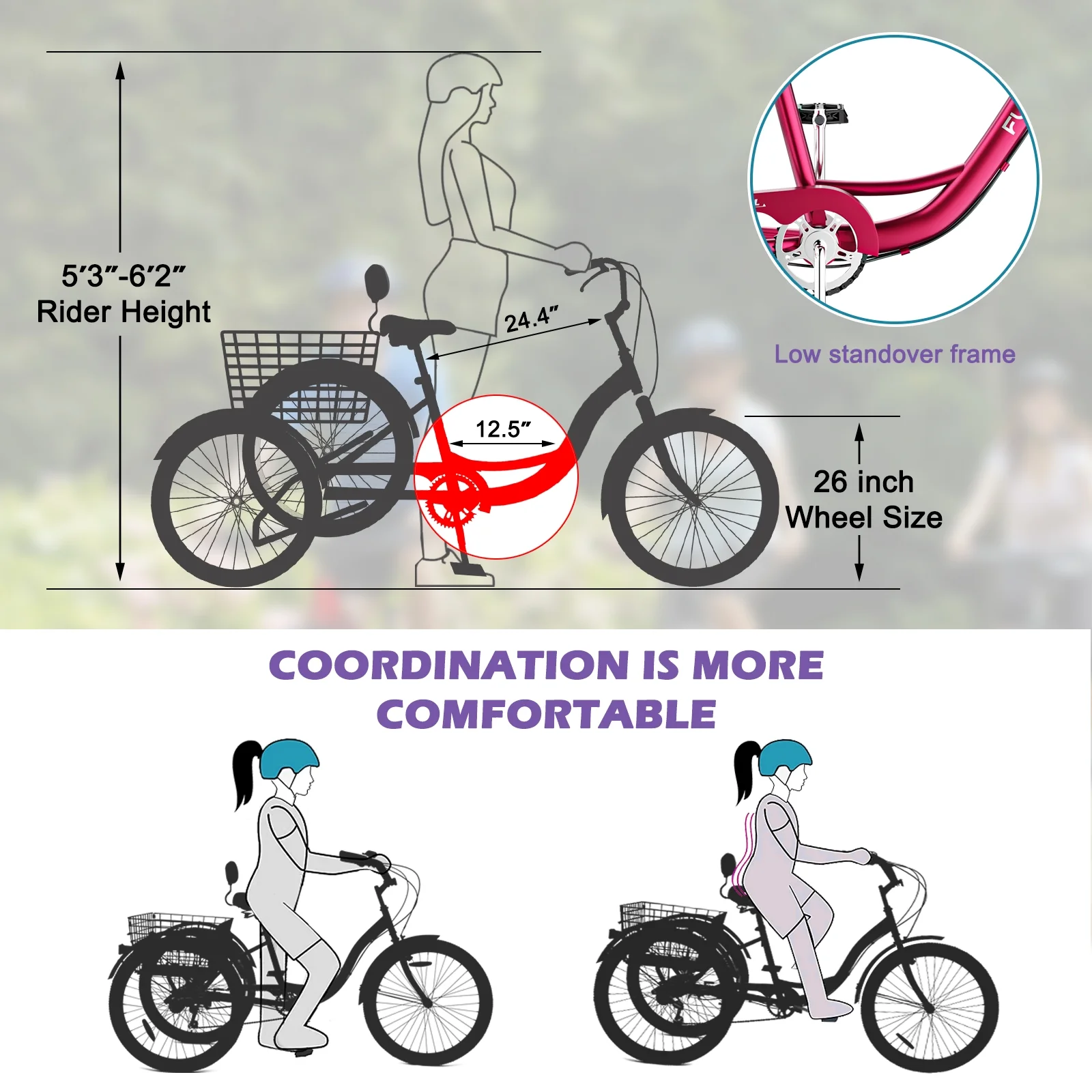 MOPHOTO Adult Tricycles 3 Wheel 7 Speed Trikes, 20/24/26 inch with Big Basket for Shopping, Picnics Exercise Men's Women's Senior's Trike
