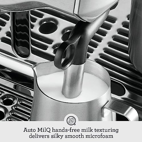 Breville Oracle Espresso Machine BES980XL, Brushed Stainless Steel