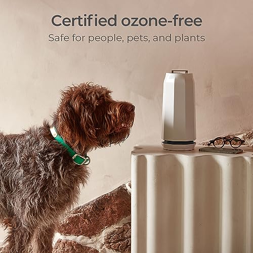Puraclenz Surface & Air Purifier for Rooms - Ozone-Free Patented Technology