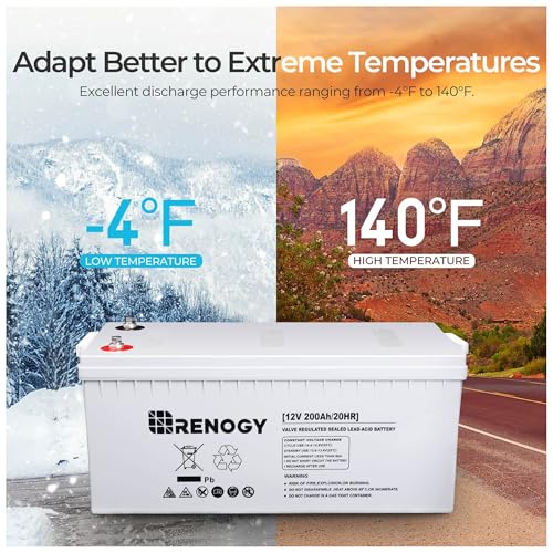 Renogy Deep Cycle AGM 12 Volt 100Ah Battery, 3% Self-Discharge Rate, 1100A Max Discharge Current, Safe Charge Appliances for RV, Camping, Cabin, Marine and Off-Grid System, Maintenance-Free