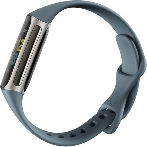 Fitbit Charge 5 Steel Blue/Platinum