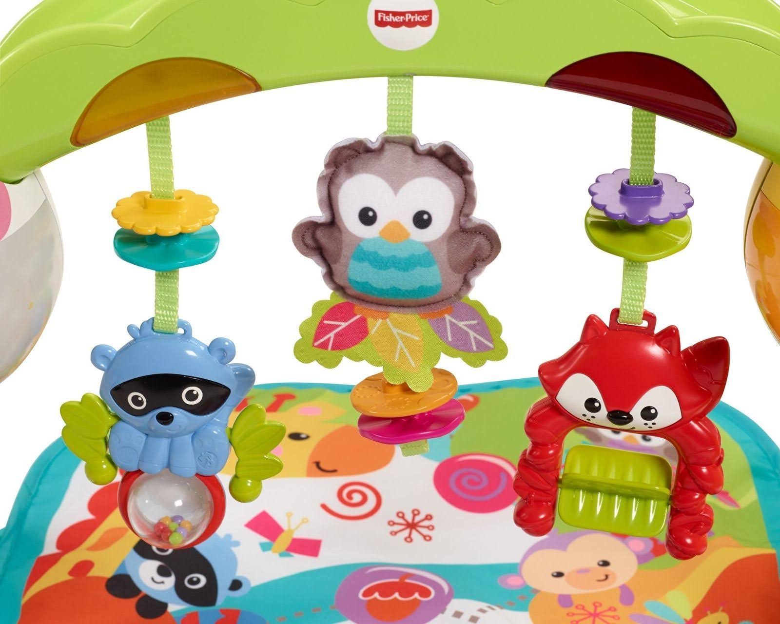 Fisher-Price Newborn-to-Toddler Play Gym