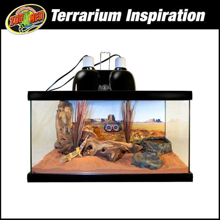 Zoo Med ReptiHabitat Desert Starter Kit - Pet Supplies online store