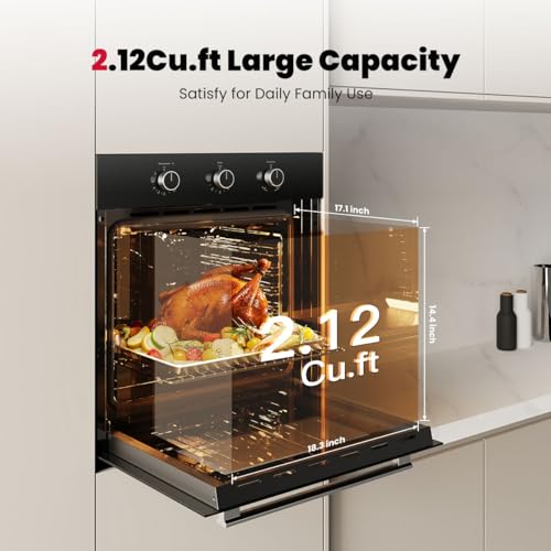 GASLAND 24 Inch Gas Wall Oven